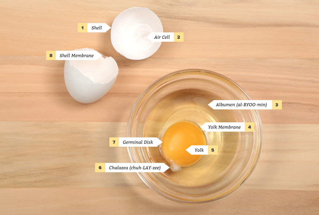 Calcium and Egg Yolk