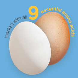 9 essential nutrients in eggs